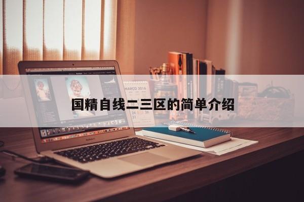 国精自线二三区的简单介绍