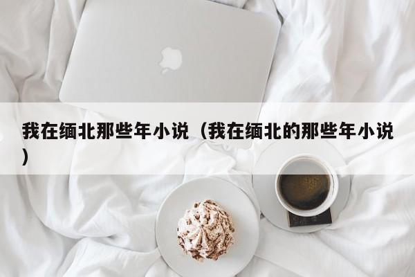 我在缅北那些年小说（我在缅北的那些年小说）