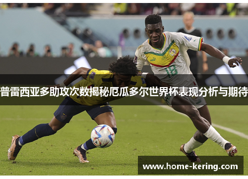 普雷西亚多助攻次数揭秘厄瓜多尔世界杯表现分析与期待