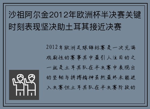 沙祖阿尔金2012年欧洲杯半决赛关键时刻表现坚决助土耳其接近决赛