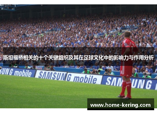 斯坦福桥相关的十个关键组织及其在足球文化中的影响力与作用分析
