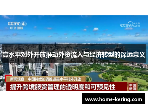 高水平对外开放推动外资流入与经济转型的深远意义